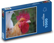Kohout - drůbež, zvíře Puzzle 1000 - 60x46 cm