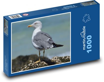 Racek - moře, příroda - puzzle 1000 dílků