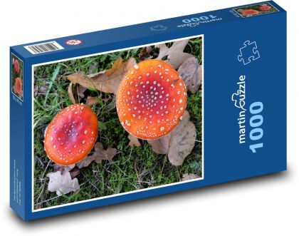 Mochotrávka - huby, jeseň - Puzzle 1000 dielikov, rozmer 60x46 cm