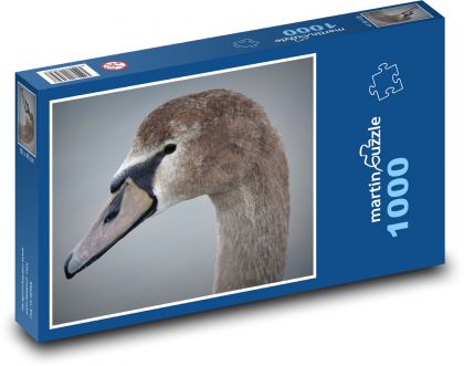 Labuť - pták, zvíře - Puzzle 1000 dílků, rozměr 60x46 cm