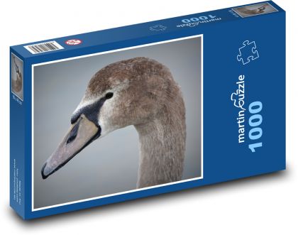 Schwan - Vogel, Tier - Puzzle - 1000 Teile
