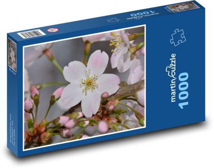 Květ - příroda, strom - Puzzle 1000 dílků, rozměr 60x46 cm