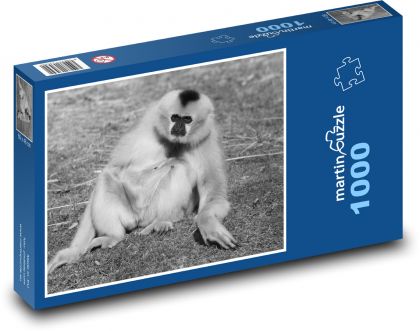 Gibon - opice, savec - Puzzle 1000 dílků, rozměr 60x46 cm