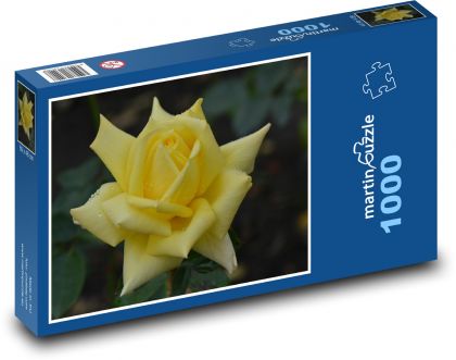 Růže - květ, žlutá - Puzzle 1000 dílků, rozměr 60x46 cm