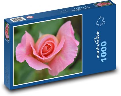 Růže - květ, růžová - Puzzle 1000 dílků, rozměr 60x46 cm