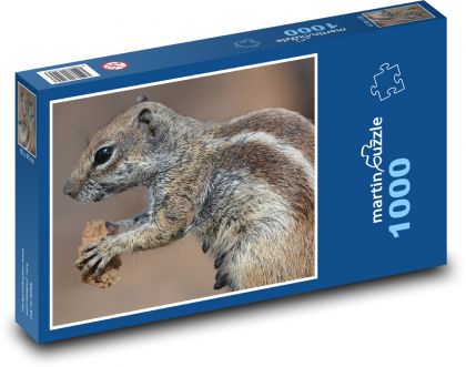 Eichhörnchen - Nahrung, Tier - Puzzle - 1000 Teile
