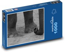 Slon - zvíře, savec Puzzle 1000 dílků - 60 x 46 cm