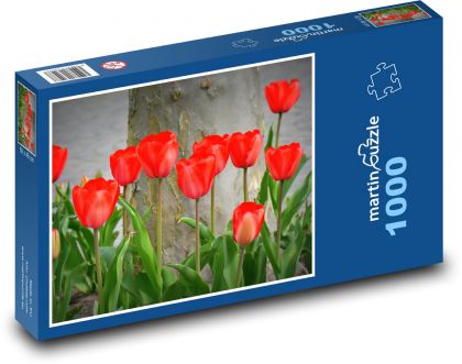 Tulipány - príroda, kvety - Puzzle 1000 dielikov, rozmer 60x46 cm