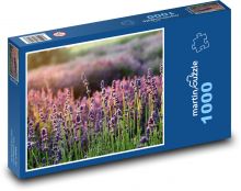 Levandule - pole, květina Puzzle 1000 dílků - 60 x 46 cm