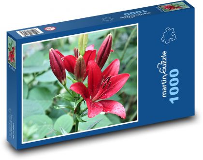 Lilia - czerwona, rosa - Puzzle 1000 elementów, rozmiar 60x46 cm