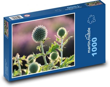 Distel - Blume, Pflanze - Puzzle - 1000 Teile