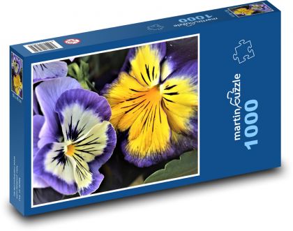 Maceška - barevná, květ - Puzzle 1000 dílků, rozměr 60x46 cm