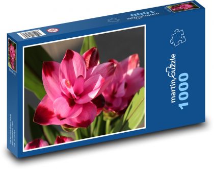 Kurkuma - Blume, rosa - Puzzle - 1000 Teile
