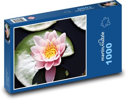 Seerose - rosa Blume - Puzzle - 1000 Teile