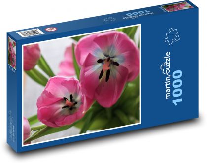 Tulipán - růžový, květina - puzzle 1000 dílků