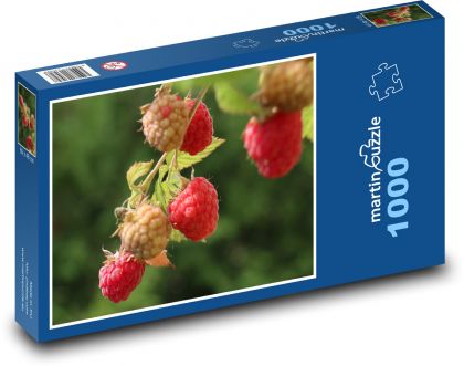 Raspberries - summer, fruit - Puzzle 1000 pieces, size 60x46 cm 