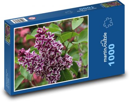 Orgován - kvet, ker - Puzzle 1000 dielikov, rozmer 60x46 cm