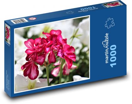 Muškát - ružový kvet - Puzzle 1000 dielikov, rozmer 60x46 cm