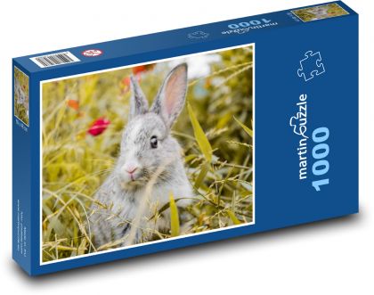 Králik - cicavec, zviera - Puzzle 1000 dielikov, rozmer 60x46 cm