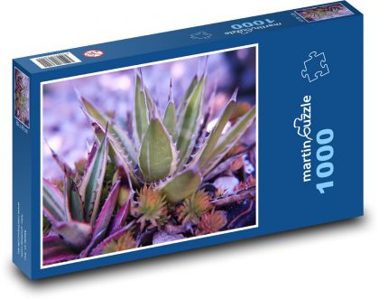 Cactus - succulents, flowers - Puzzle 1000 pieces, size 60x46 cm 