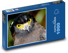 Jestřáb - dravec Puzzle 1000 dílků - 60 x 46 cm