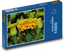 Kvetina - americký nechtík Puzzle 1000 dielikov - 60 x 46 cm 