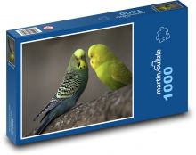 Andulka - ptáci, zvířata Puzzle 1000 dílků - 60 x 46 cm