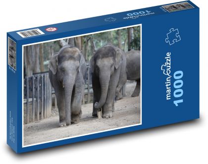 Indie - słonie, ssaki - Puzzle 1000 elementów, rozmiar 60x46 cm