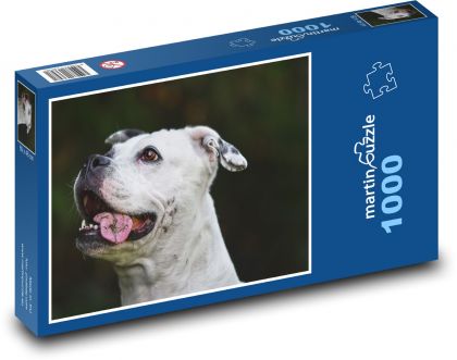 Bílý pes s vypláznutým jazykem - puzzle 1000 dílků
