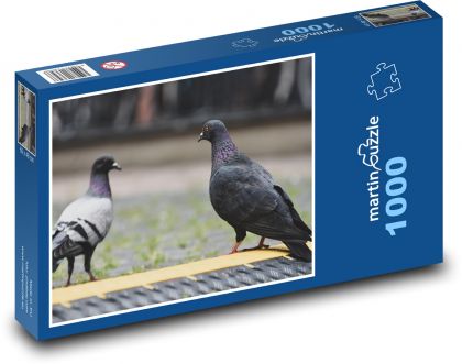 Holubi - ptáci - puzzle 1000 dílků