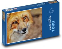 Líška - cicavec, divoká Puzzle 1000 dielikov - 60 x 46 cm 
