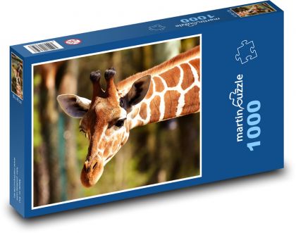 Giraffe - long neck, zoo - Puzzle 1000 pieces, size 60x46 cm 