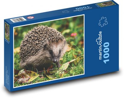Igel im Gras - Puzzle - 1000 Teile
