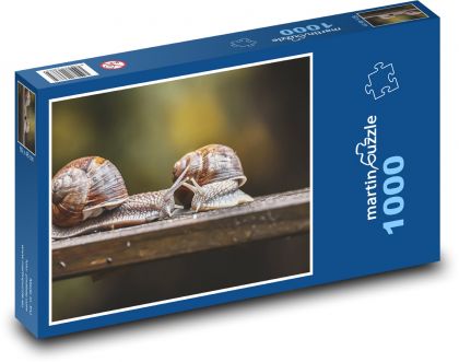 Ślimak - koncha, ślimak - Puzzle 1000 elementów, rozmiar 60x46 cm