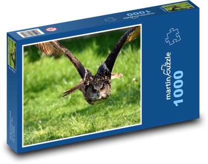 Sova - letící pták - Puzzle 1000 dílků, rozměr 60x46 cm