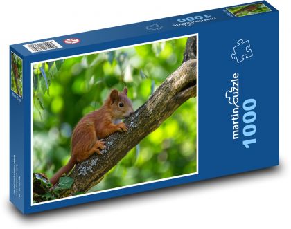 Squirrel - baby on a tree - Puzzle 1000 pieces, size 60x46 cm 