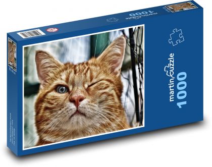 Mačka domáca - žmurkať - Puzzle 1000 dielikov, rozmer 60x46 cm