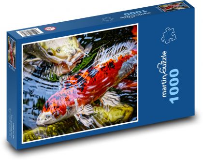 Koi - japonská ryba - Puzzle 1000 dílků, rozměr 60x46 cm