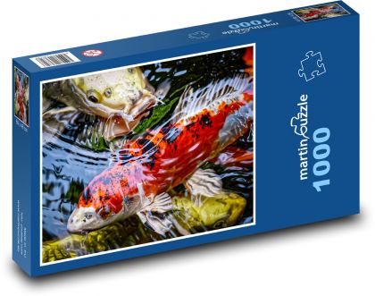 Koi - Japanese fish - Puzzle 1000 pieces, size 60x46 cm 