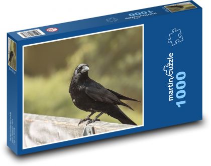 Crow, bird, animal - Puzzle 1000 pieces, size 60x46 cm 