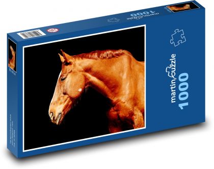 Kůň - hřebec, hříva - Puzzle 1000 dílků, rozměr 60x46 cm