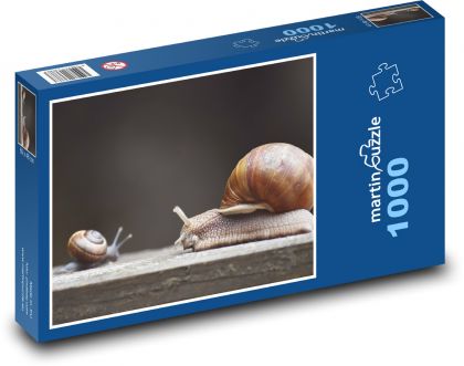 Ślimak - mięczak, ślimak - Puzzle 1000 elementów, rozmiar 60x46 cm