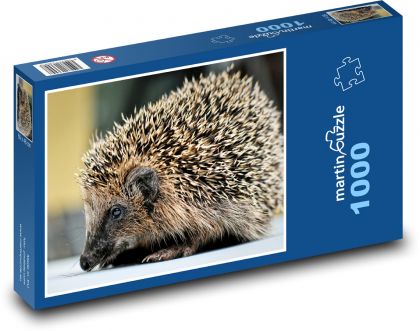 Ježek - mládě, bodliny - Puzzle 1000 dílků, rozměr 60x46 cm
