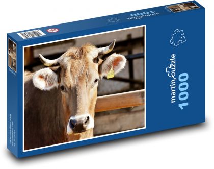 Krava - dobytok, rohy - Puzzle 1000 dielikov, rozmer 60x46 cm