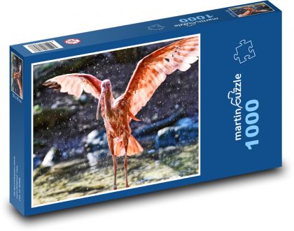 Ibis - červený vták - Puzzle 1000 dielikov, rozmer 60x46 cm