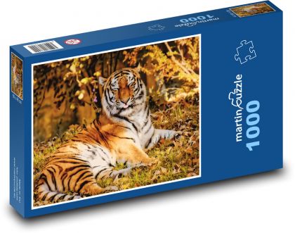 Tiger - šelma, dravec - Puzzle 1000 dielikov, rozmer 60x46 cm