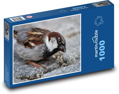 Vrabec - pták, zobák - Puzzle 1000 dílků, rozměr 60x46 cm