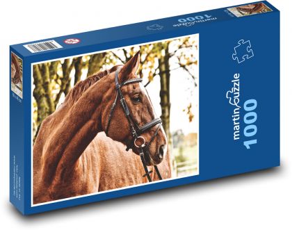 Kůň - hřebec, savec - Puzzle 1000 dílků, rozměr 60x46 cm