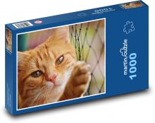 Hrdzavá mačka pri plote Puzzle 1000 dielikov - 60 x 46 cm