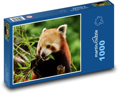 Panda červená - mláďa - Puzzle 1000 dielikov, rozmer 60x46 cm